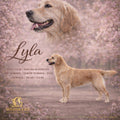 Lyla