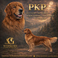 PKP