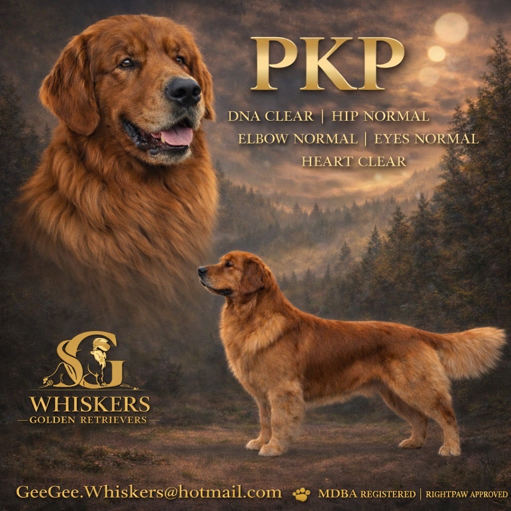PKP